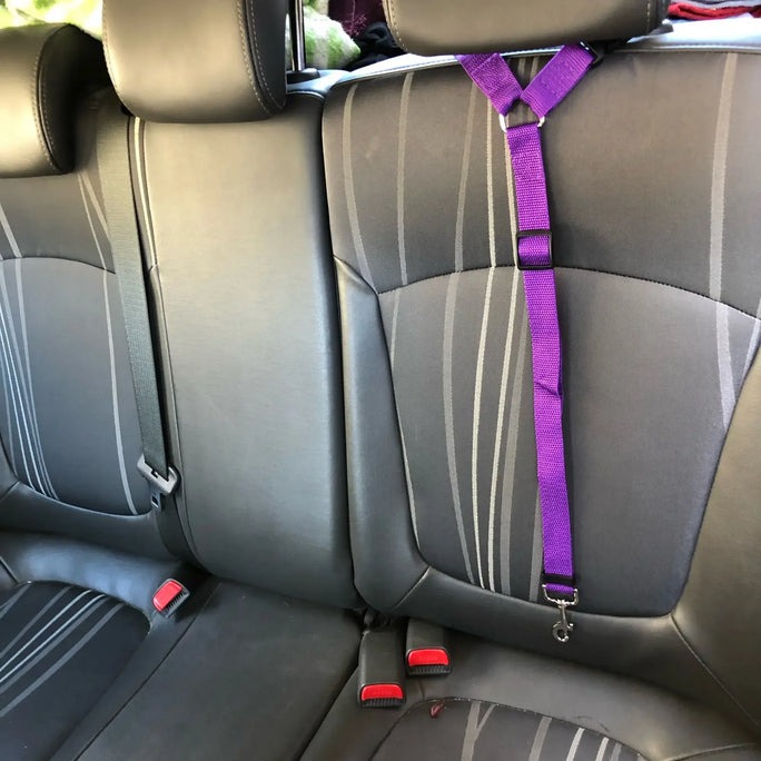 Two-in-one Pet Car Seat Belt