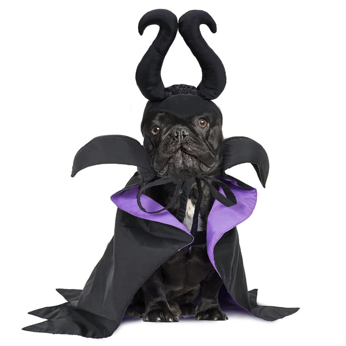 Halloween  Costume Black Purple Pet Maleficent Costume for Cats Dogs