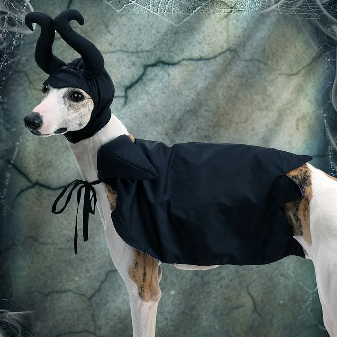 Halloween  Costume Black Purple Pet Maleficent Costume for Cats Dogs